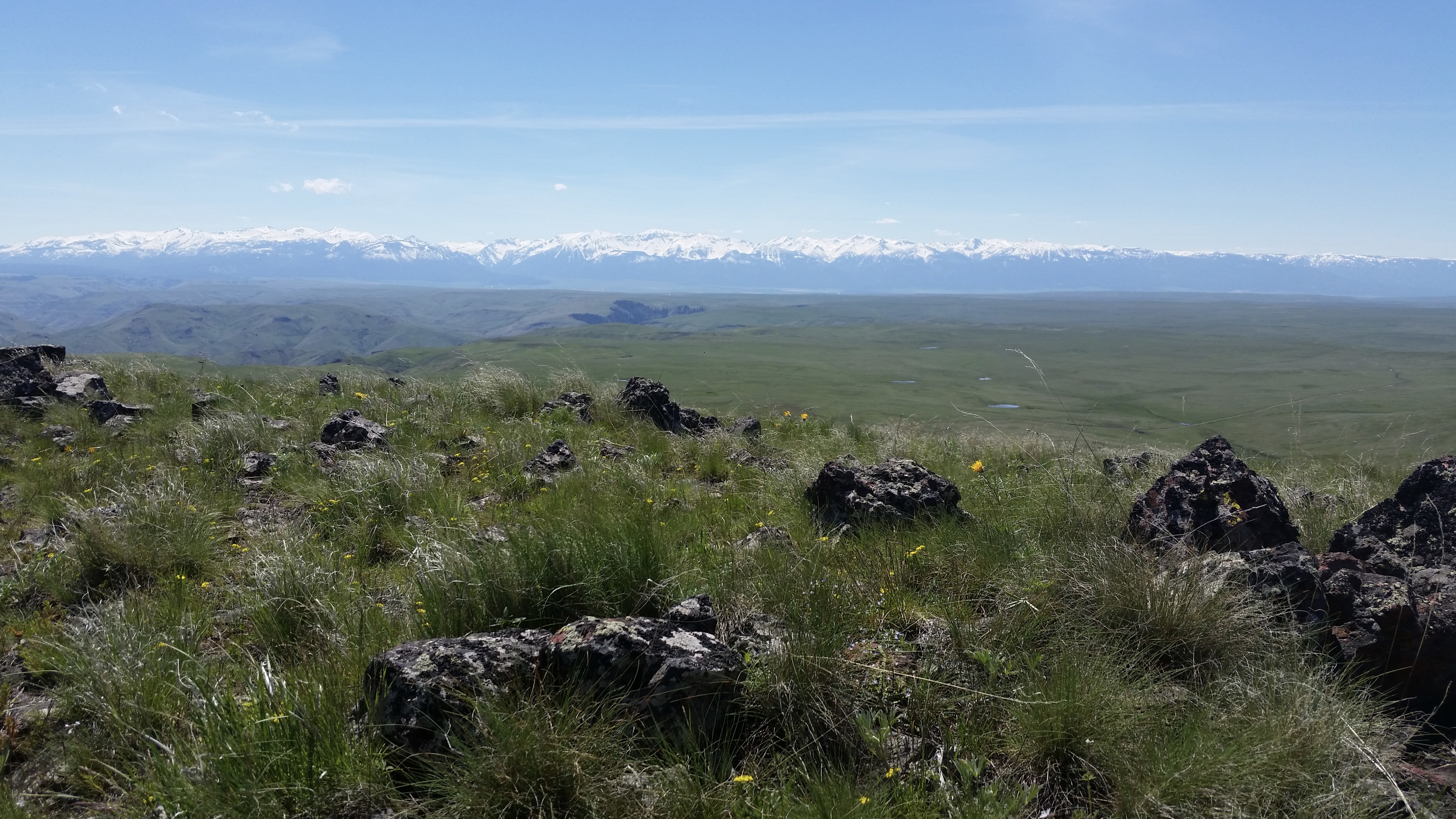 Zumwalt Prairie With Snow Capped mountains