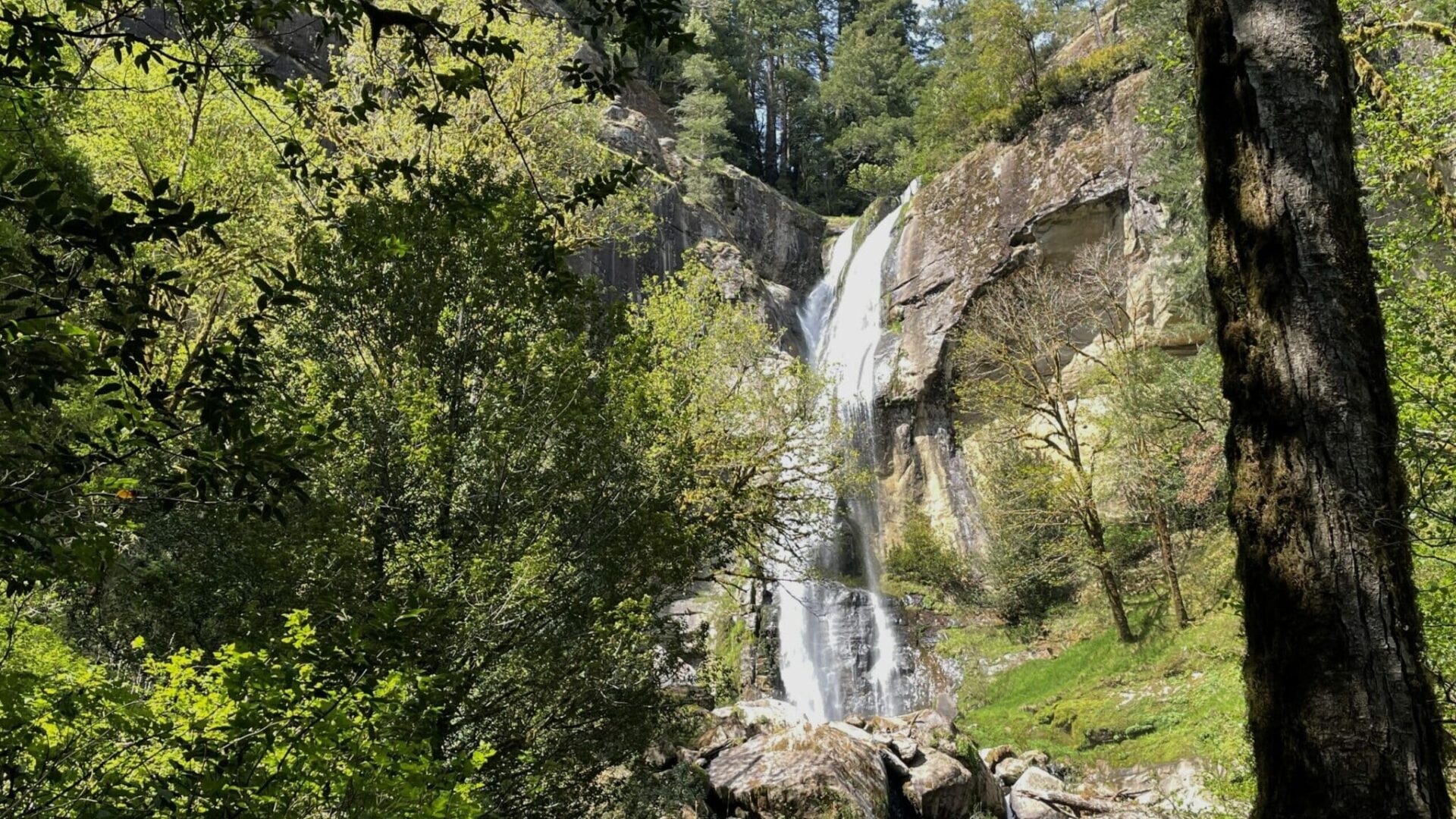 Golden Falls in Coos County Oregon