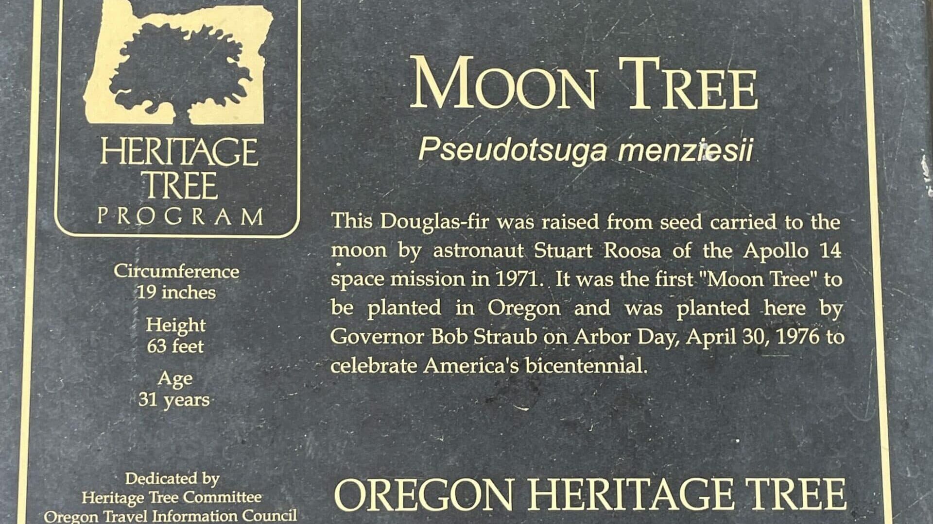 Moon Tree - Oregon State Capital State Park plaque
