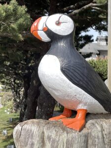 Tufted Puffin statue in Cannon Beach Oregon
