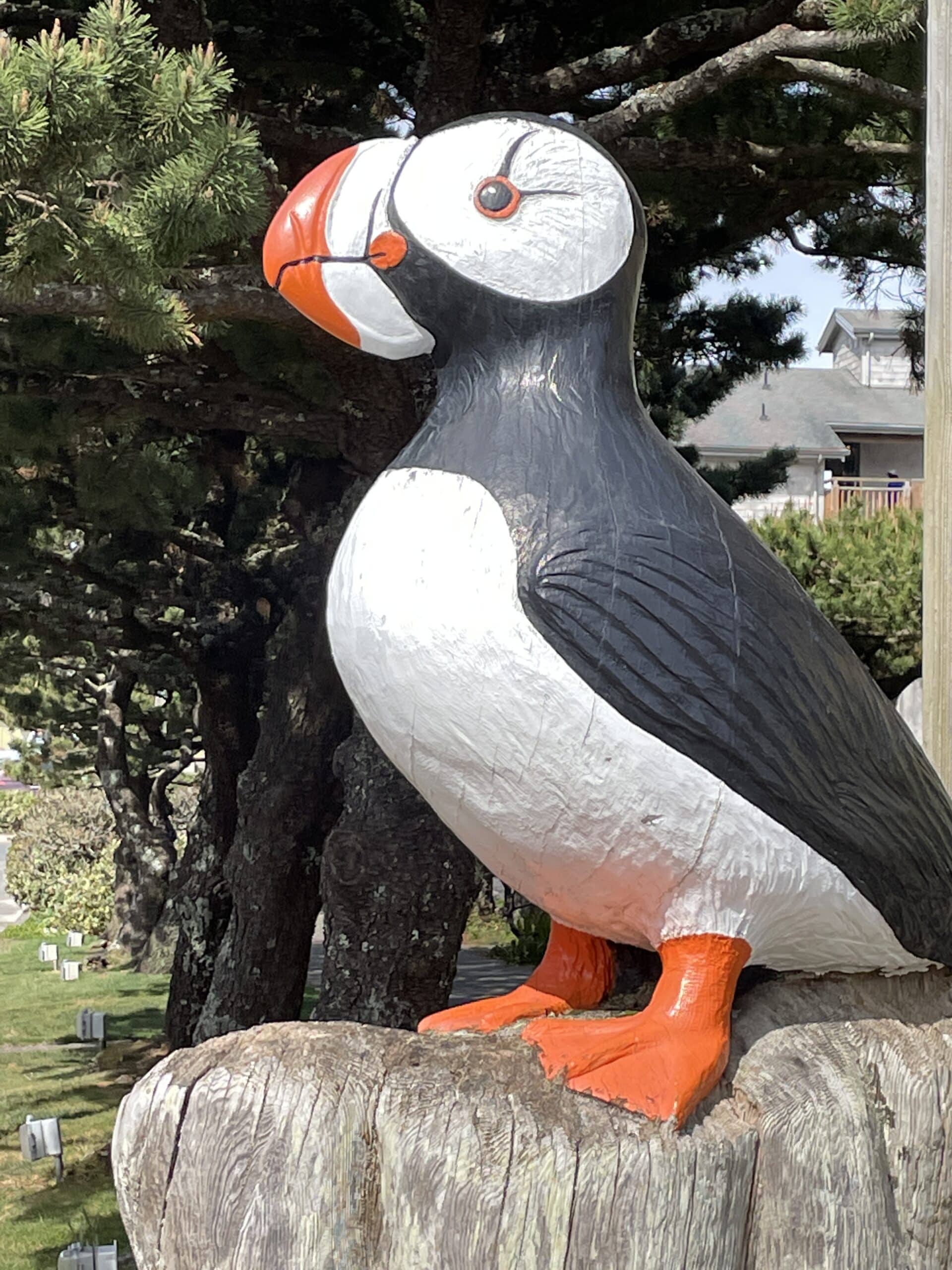 Tufted Puffin sculpture in Cannon Beach