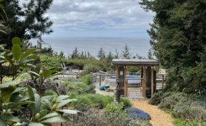 Gardens of WildSpring Guest Habitat overlooking the Pacific Ocean