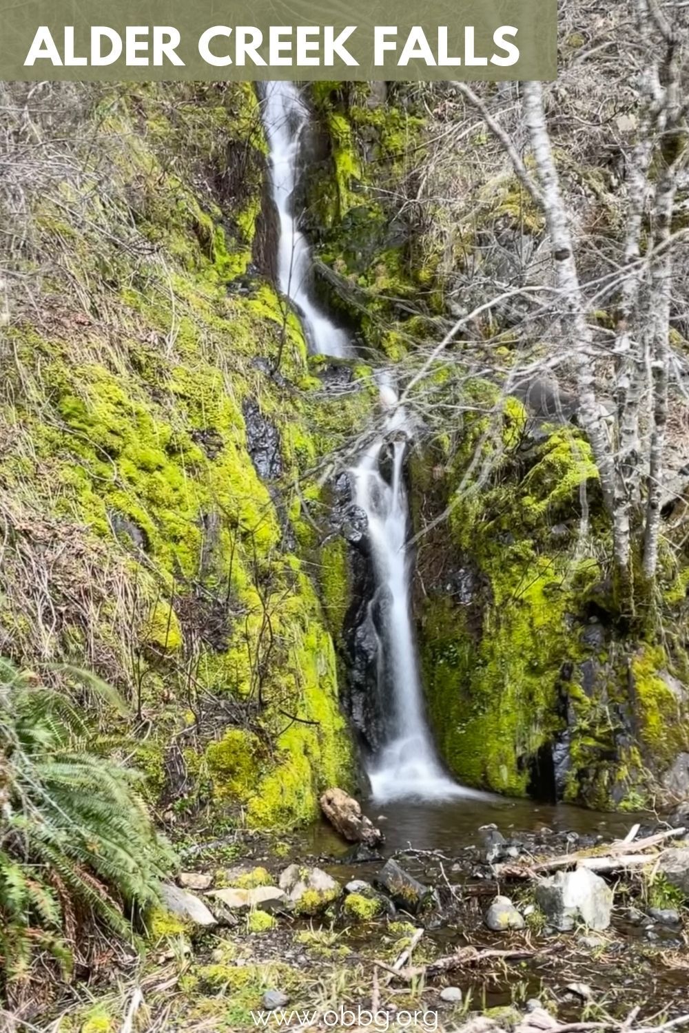 Alder Creek Falls