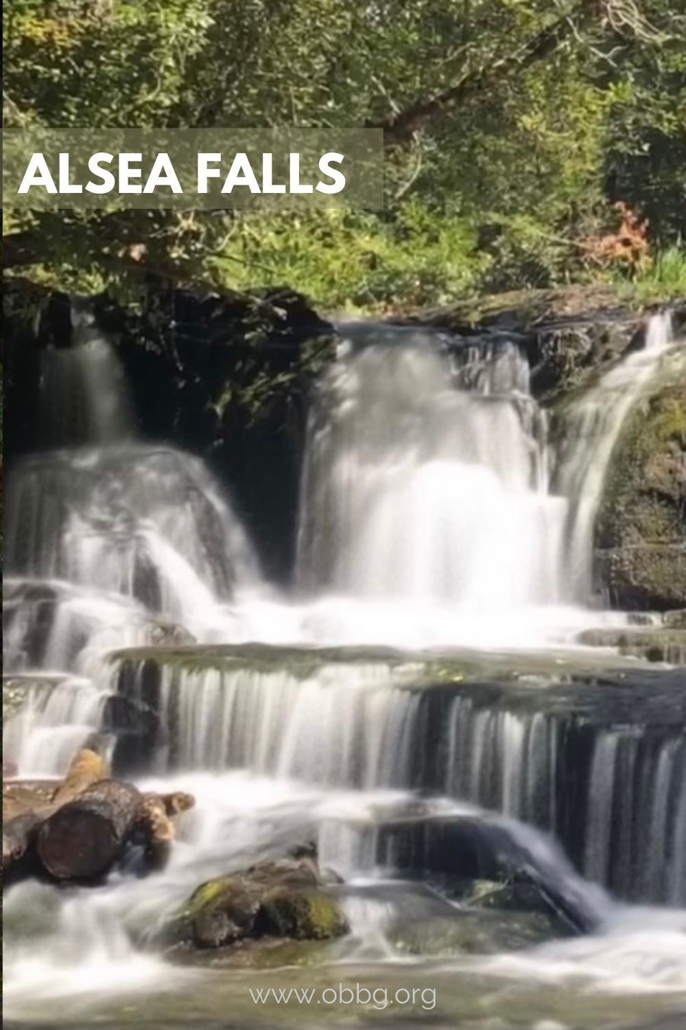 Alsea Falls pinterest pin