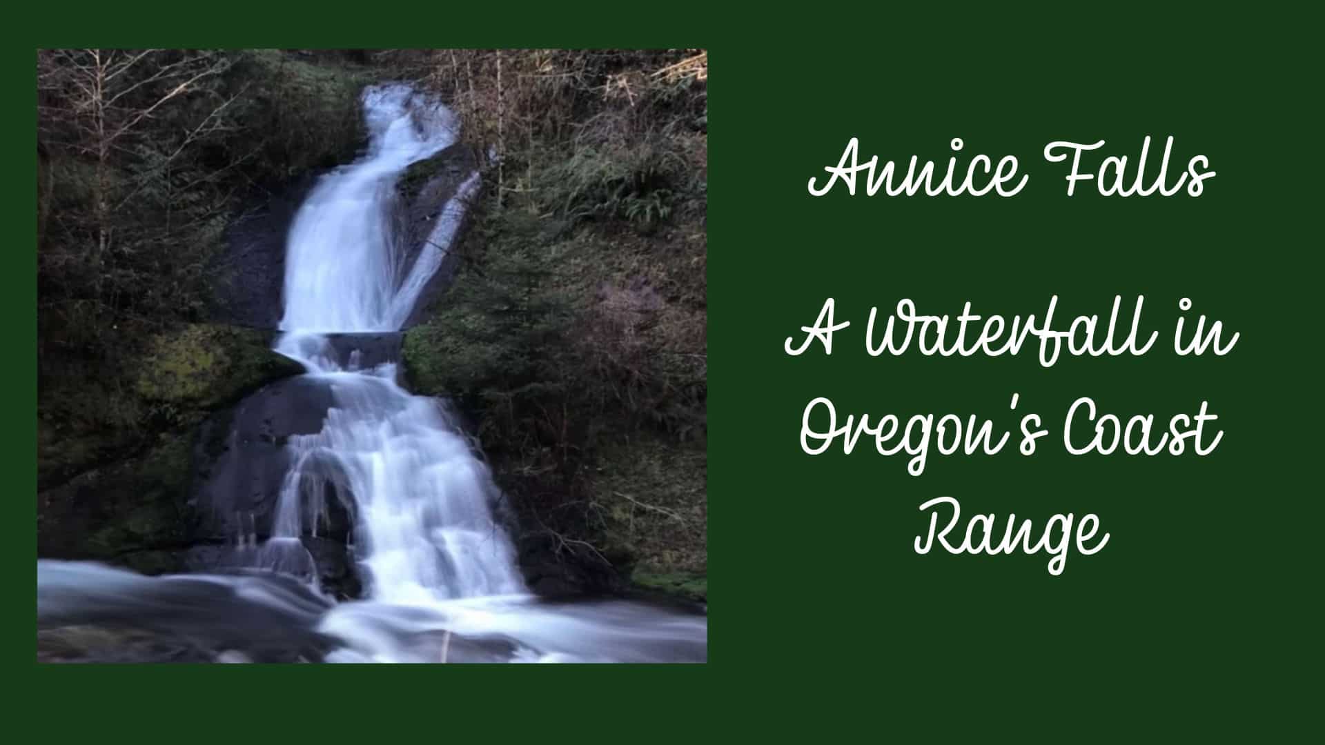 image of Annice Falls in the Oregon Coast Range