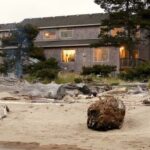 Baywood Shores Bed and Breakfast as seen from the sandy beach