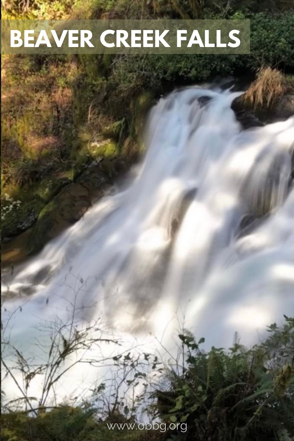 Beaver Creek falls pinterest pin