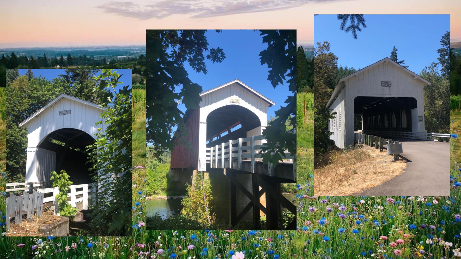 Cottage Grove Covered Bridge Tours