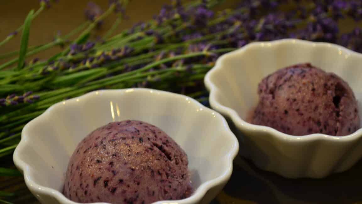 Lavender Blueberry Sorbet