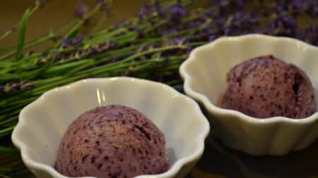 Lavender Blueberry Sorbet