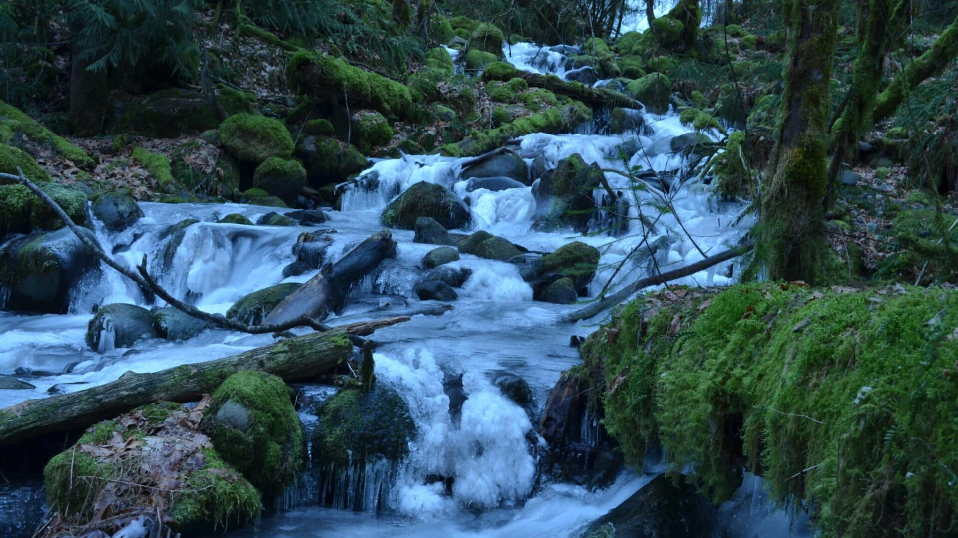 stream below a frozen Dry Creek Falls in the Columbia River Gorge.