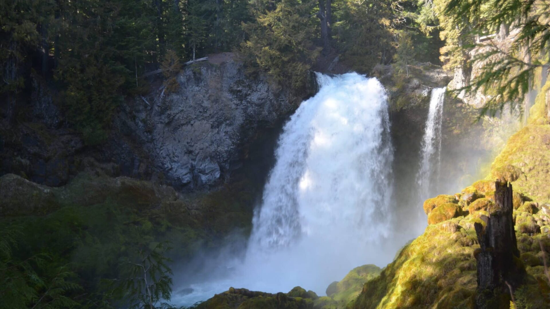 Sahalie Falls on the McKenzie River