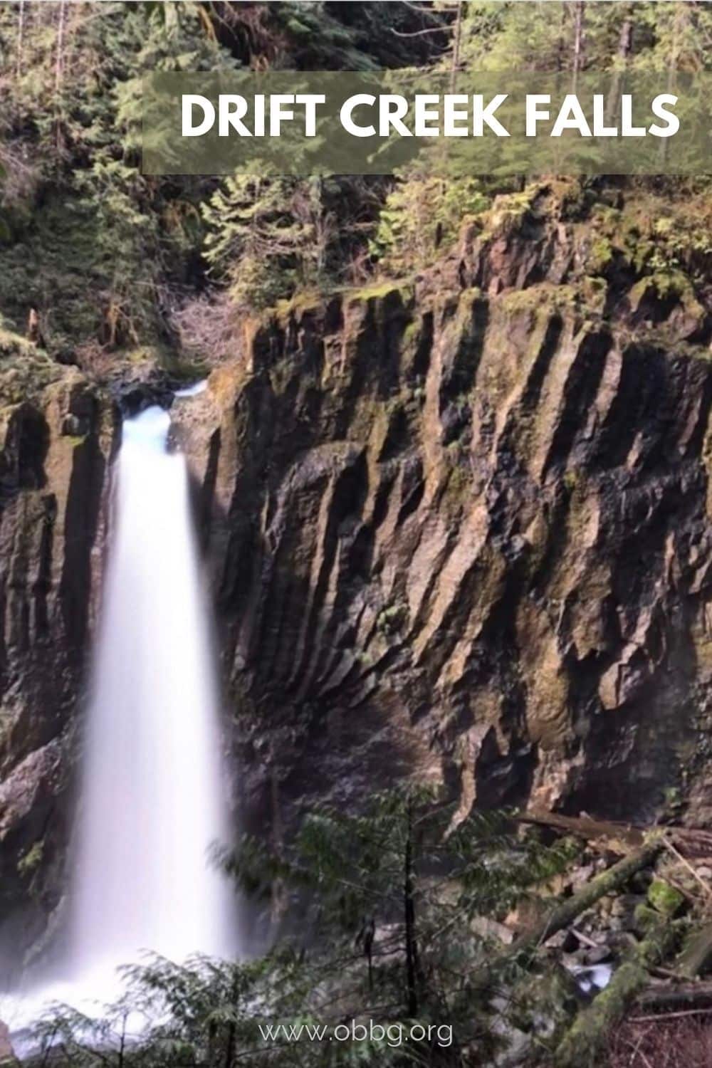 Drift Creek Falls in a steep basalt canyon