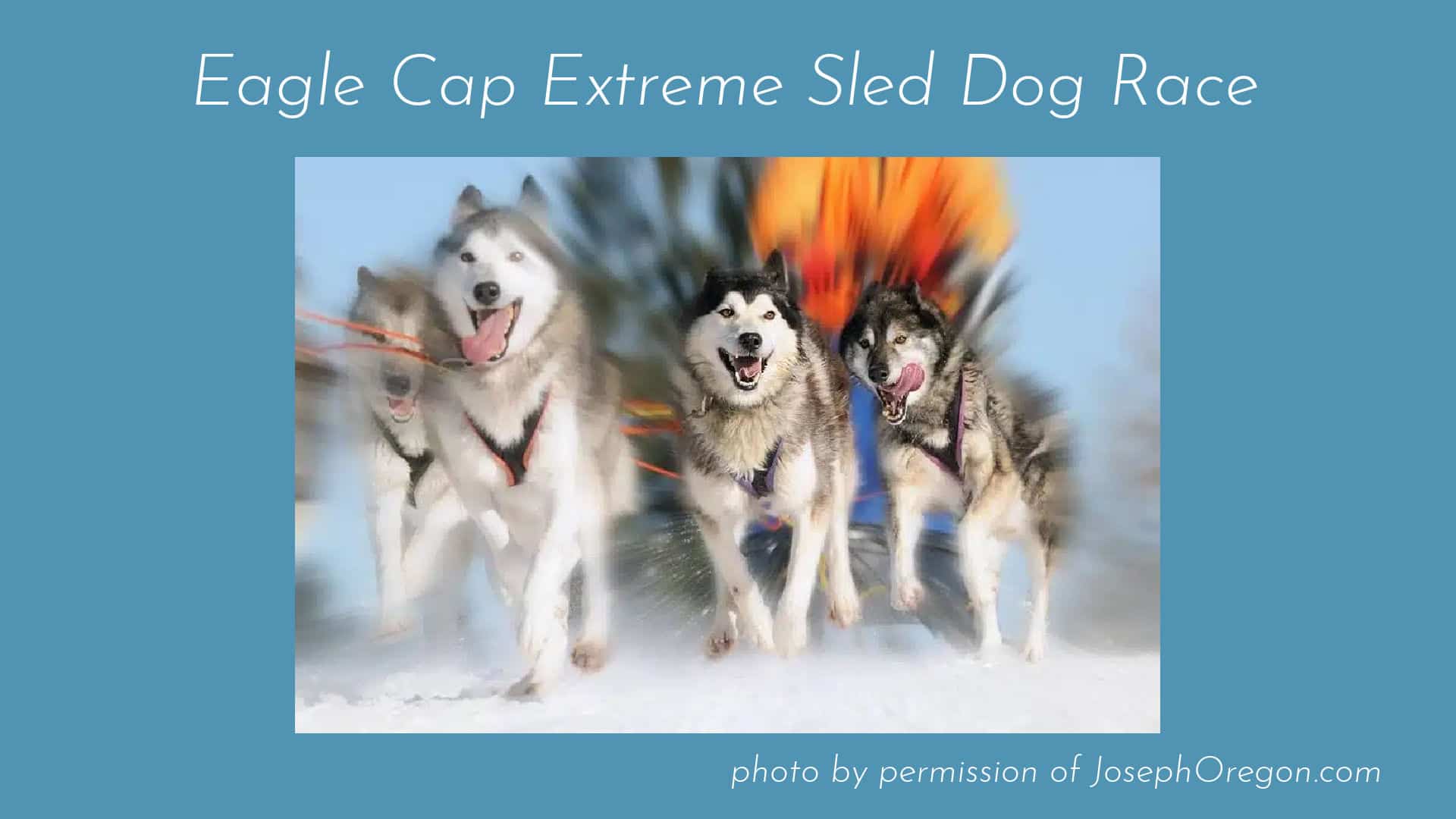 Eagle Cap Extreme Dog Sled Race banner