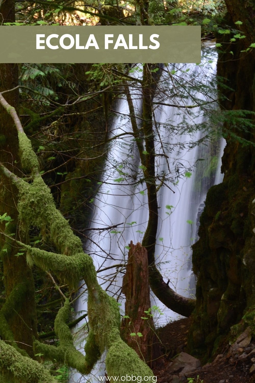 Pinterestt Pin for Ecola Falls