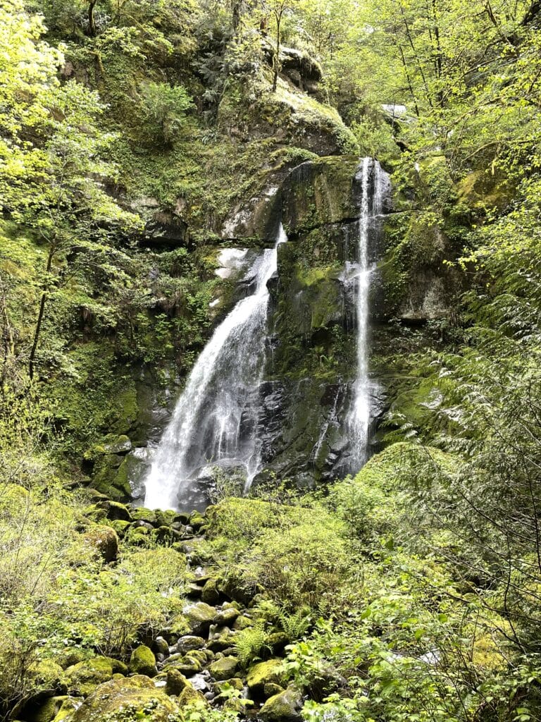 Elk Creek Falls tumbling down through a lush green forest