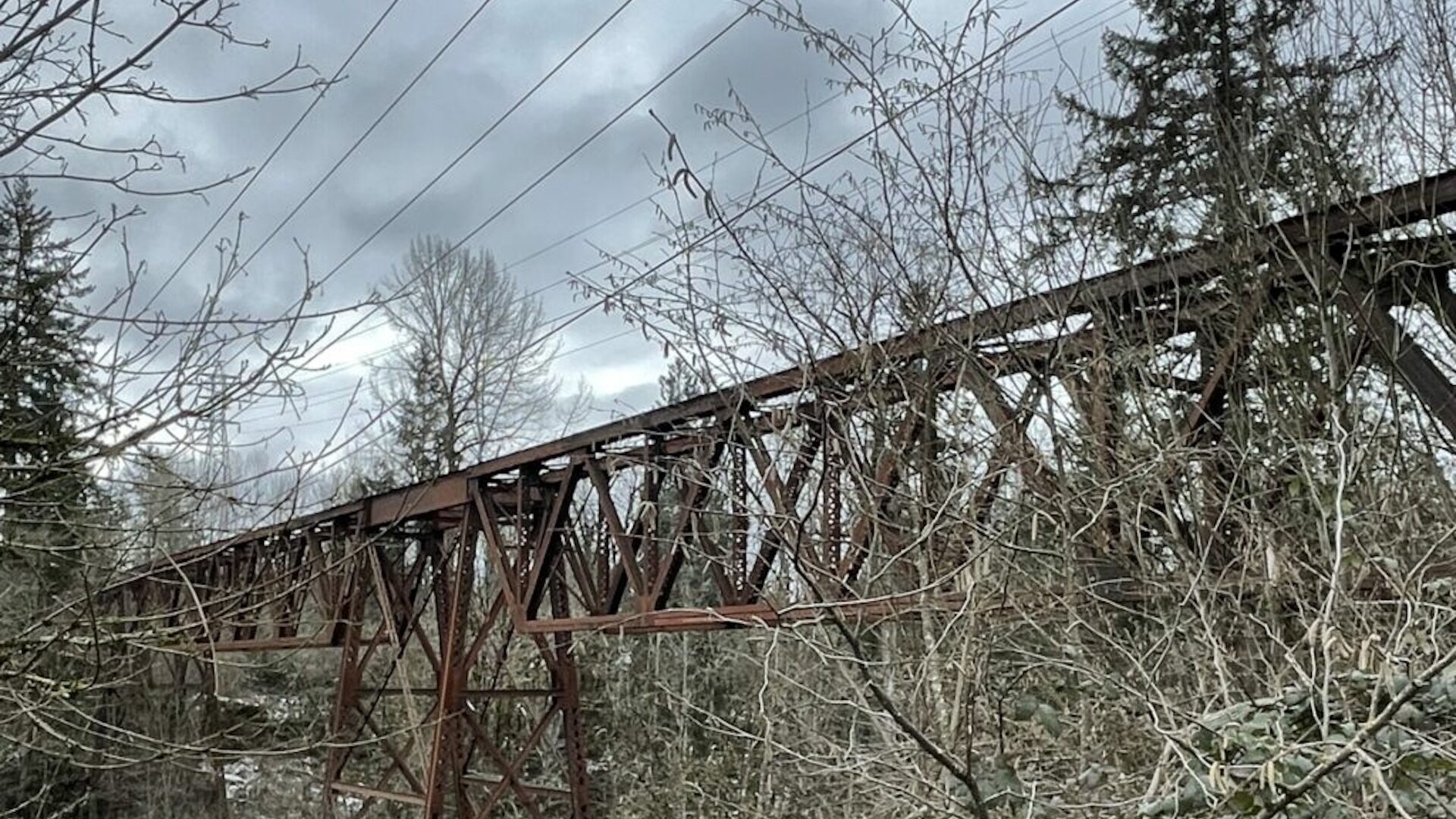 Railroad Trestle over Elk Creek