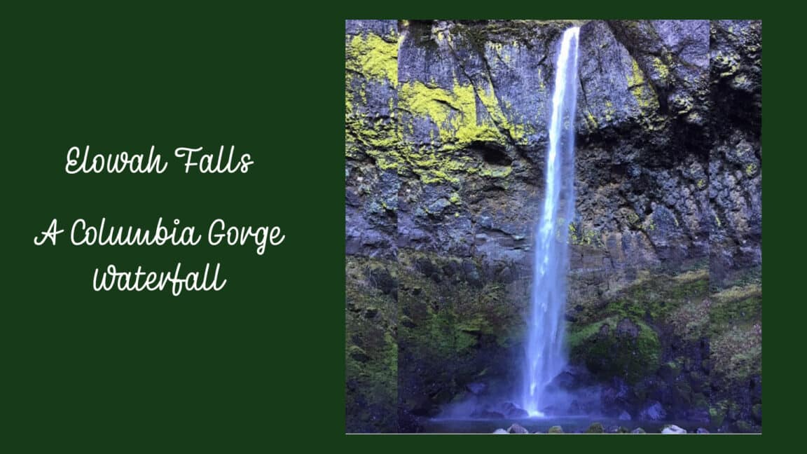 Elowah Falls cascading over lichen covered basalt walls