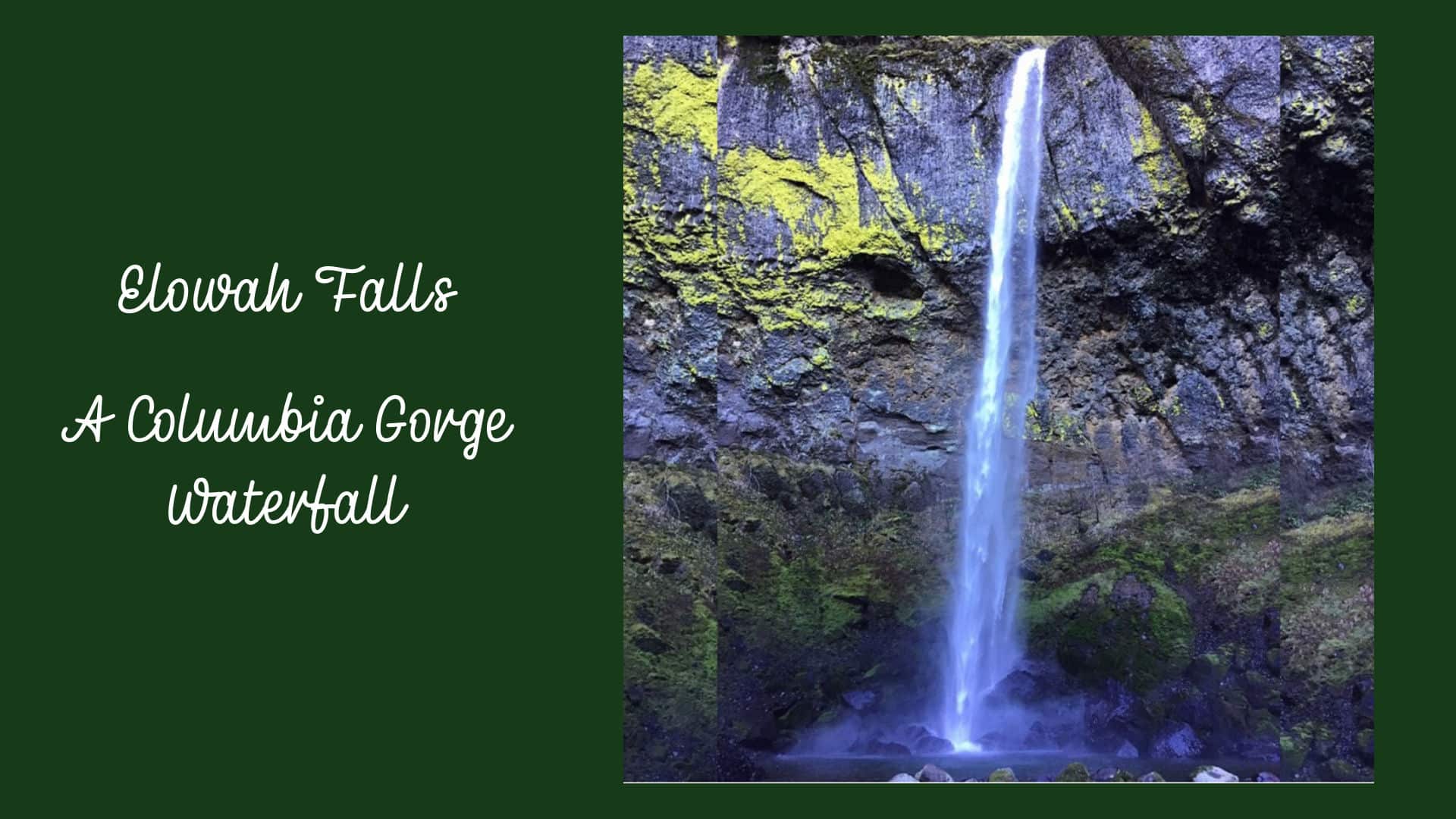 Elowah Falls cascading over lichen covered basalt walls