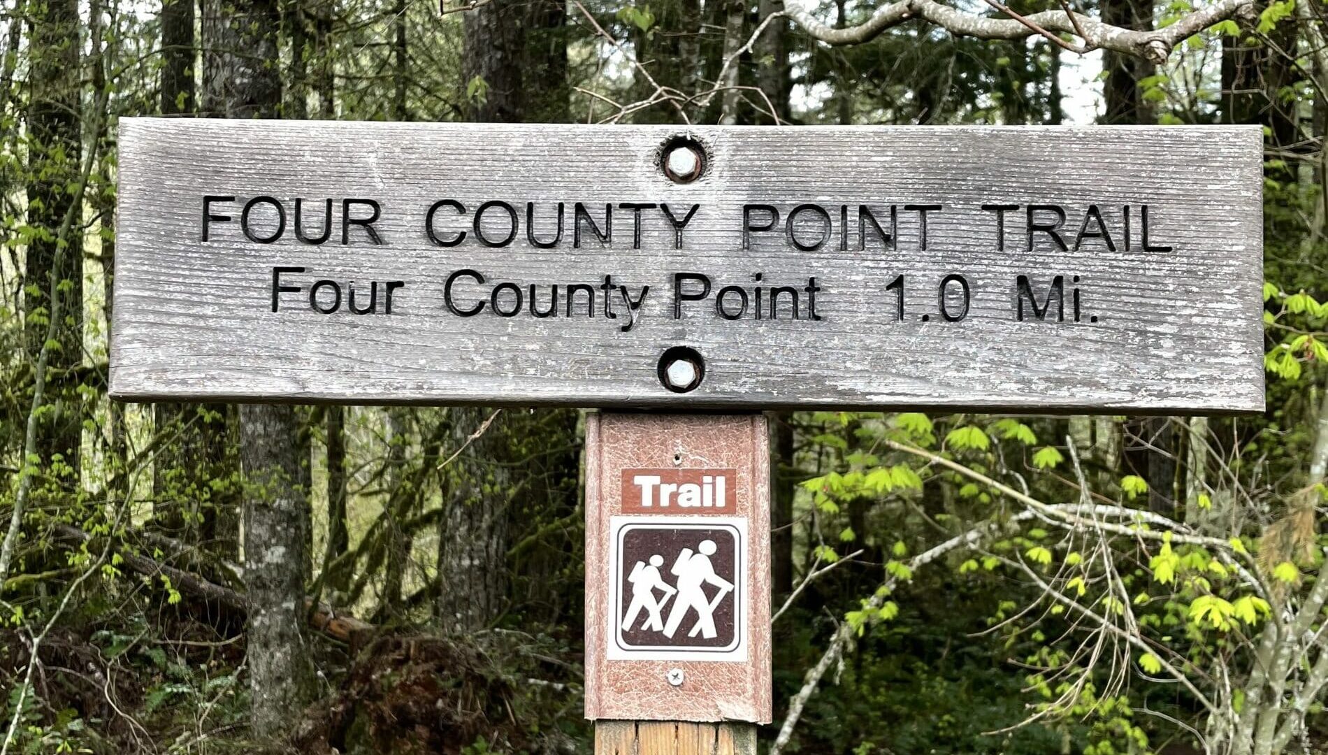 Four County Point in the Tillamook State Forest trail marker
