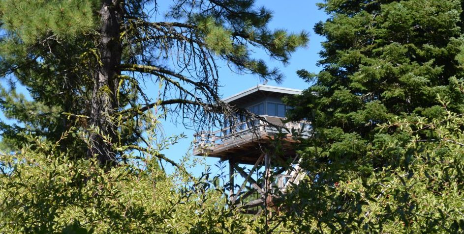 An Oregon Lookout Tower