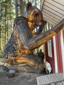 Ole Bolle lifting the roof in search of littles inside