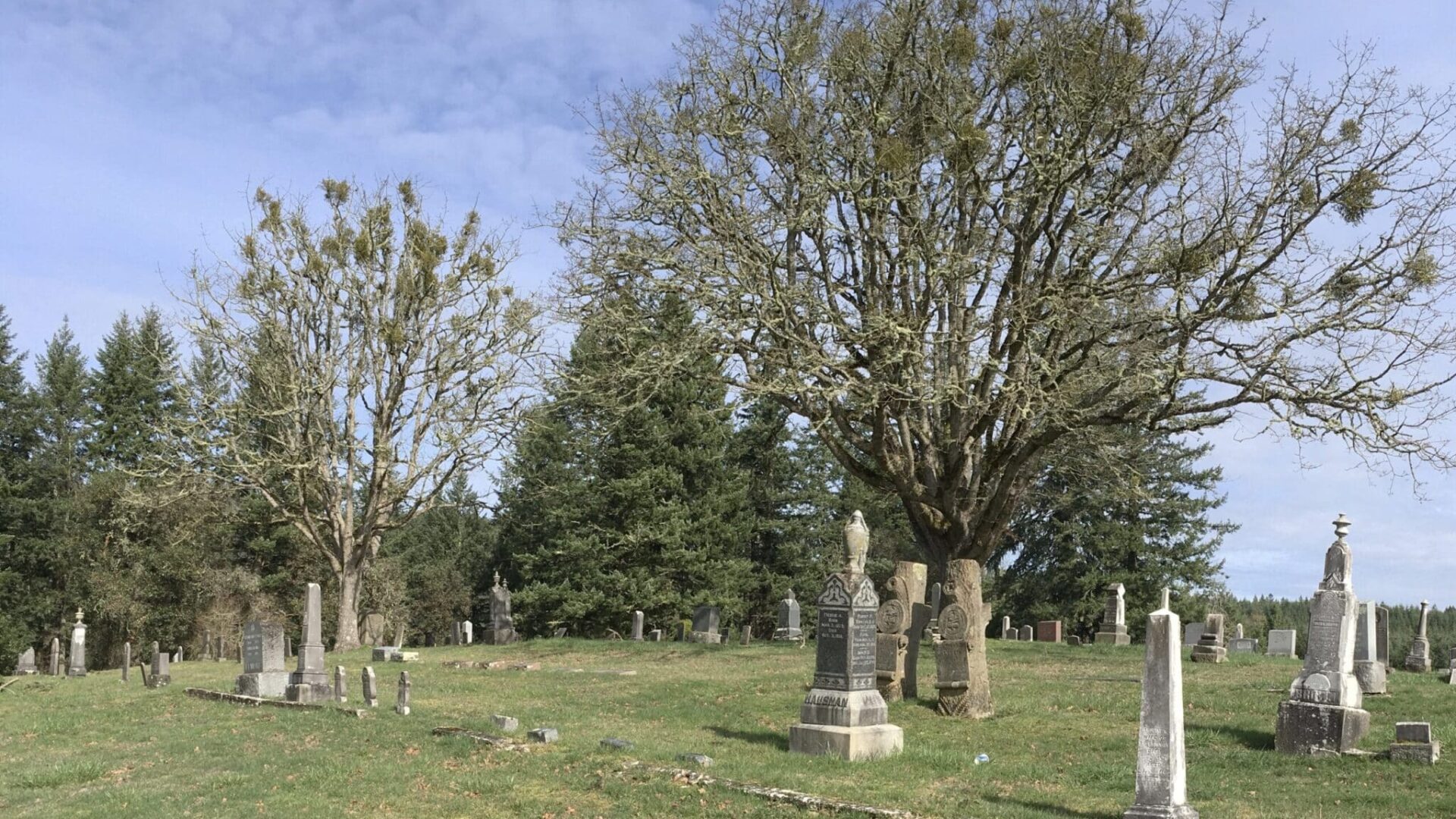 A cemetery view over the grass with trees