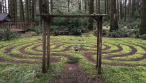 a labyrinth in the forest at WildSpring Guest Habitat