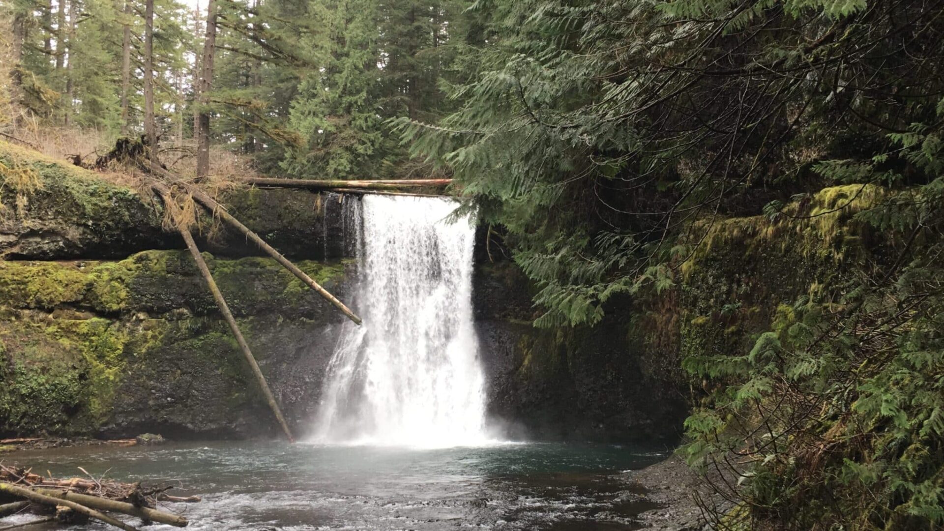 Upper North Falls at Silver Falls State Park