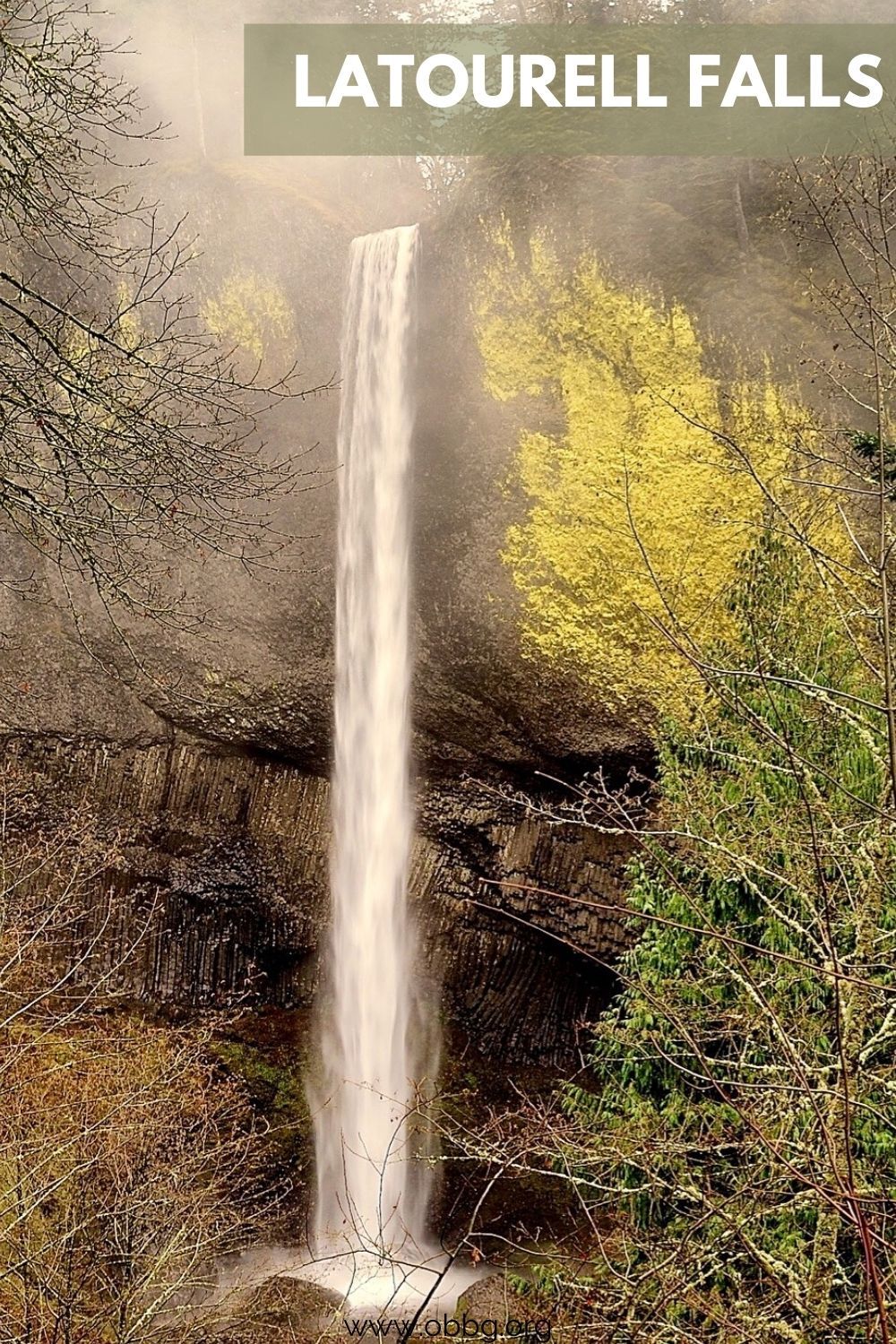 Latourell Falls in front of an eye-catching splash of chartreuse-colored golden cobblestone lichen