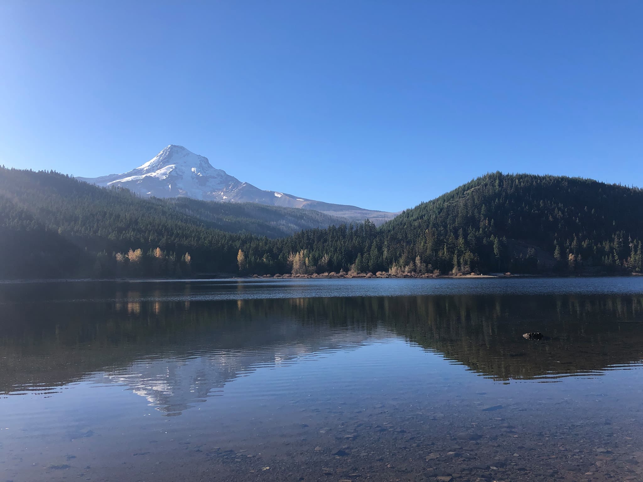 Clear blue skies and a Mt Hood reflection in Laurance Lake