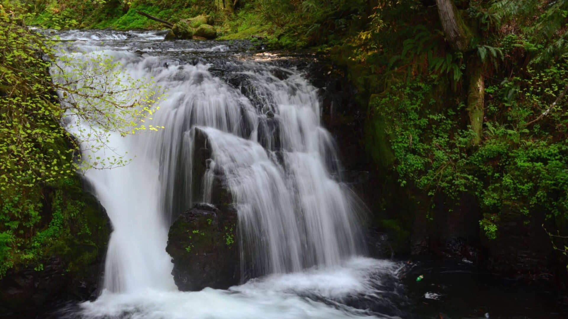 Little Multnomah Falls in the forest about Multnomah falls