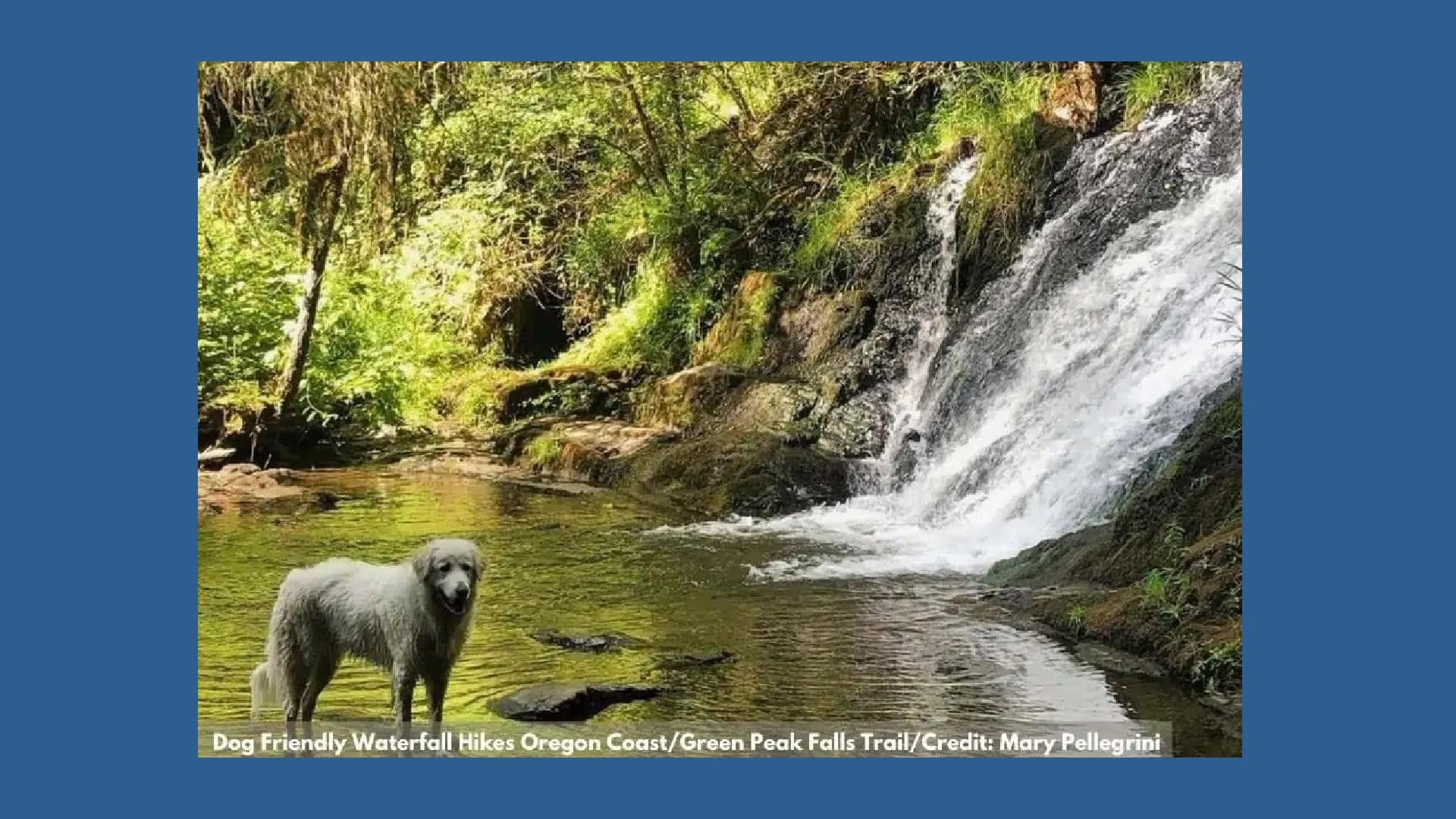 Lola at Green Peak Falls