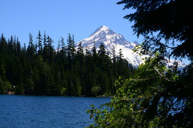 Lost Lake with a Mt Hood View