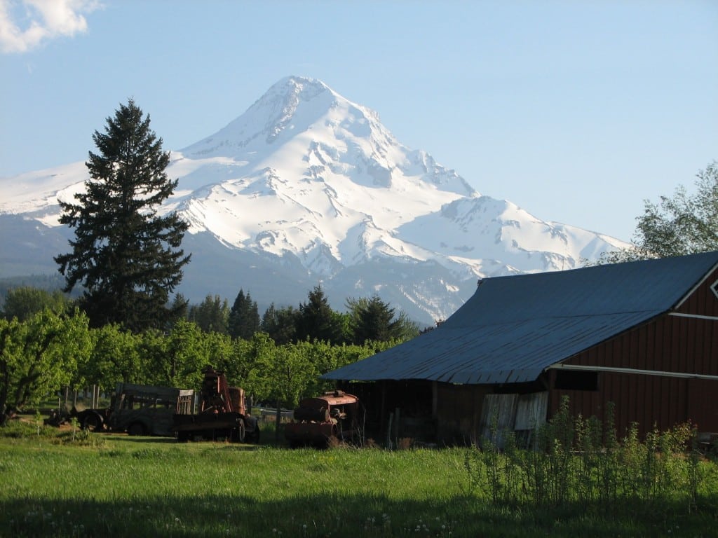 A spectacular view of Mt Hood, pear orchards and a red barn