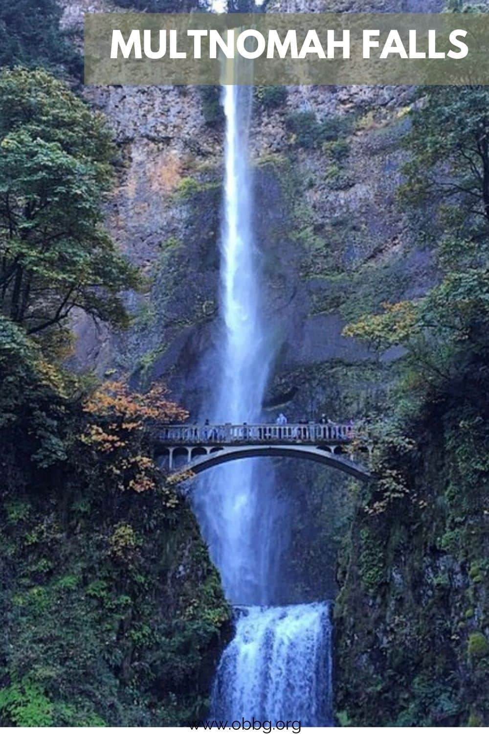 Multnomah Falls pinterest pin