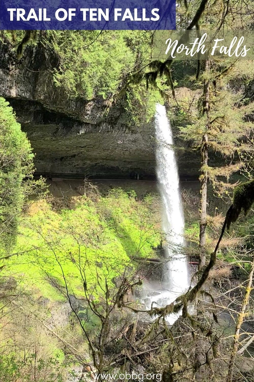 North Falls on the Trail of Ten falls in Silver Falls State Park