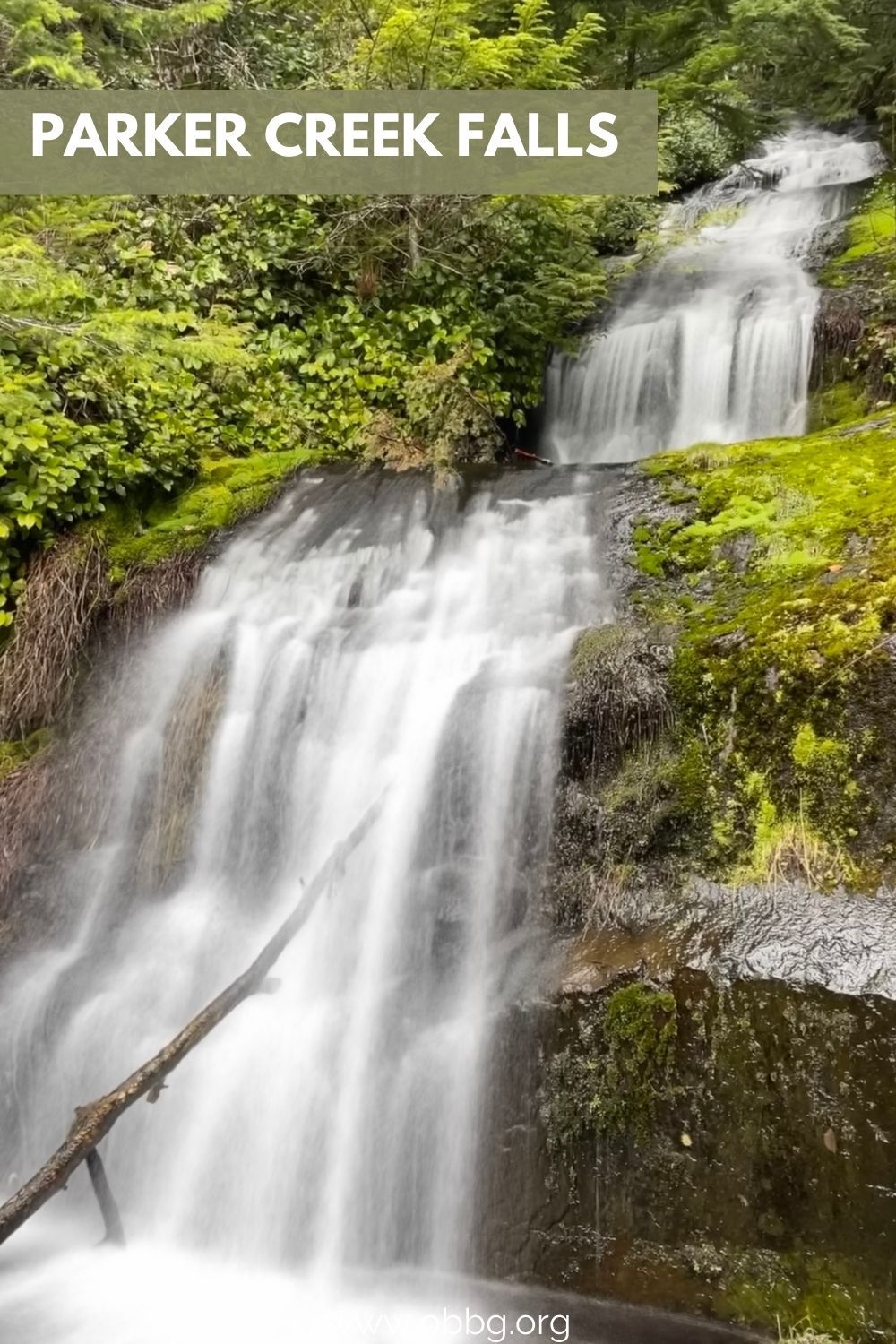 Parker Creek Falls pinterest pin