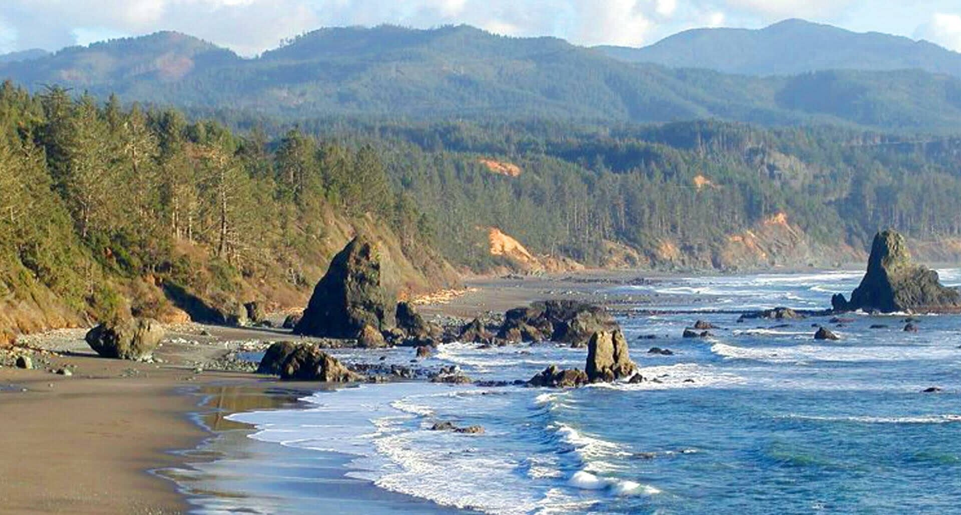 Oregon's South Coast. Rugged cliffs on the left Pacific Ocean on the righ