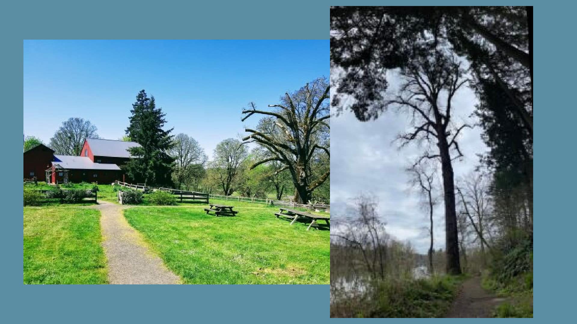 Provisional Cottonwood and Champoeg State Park