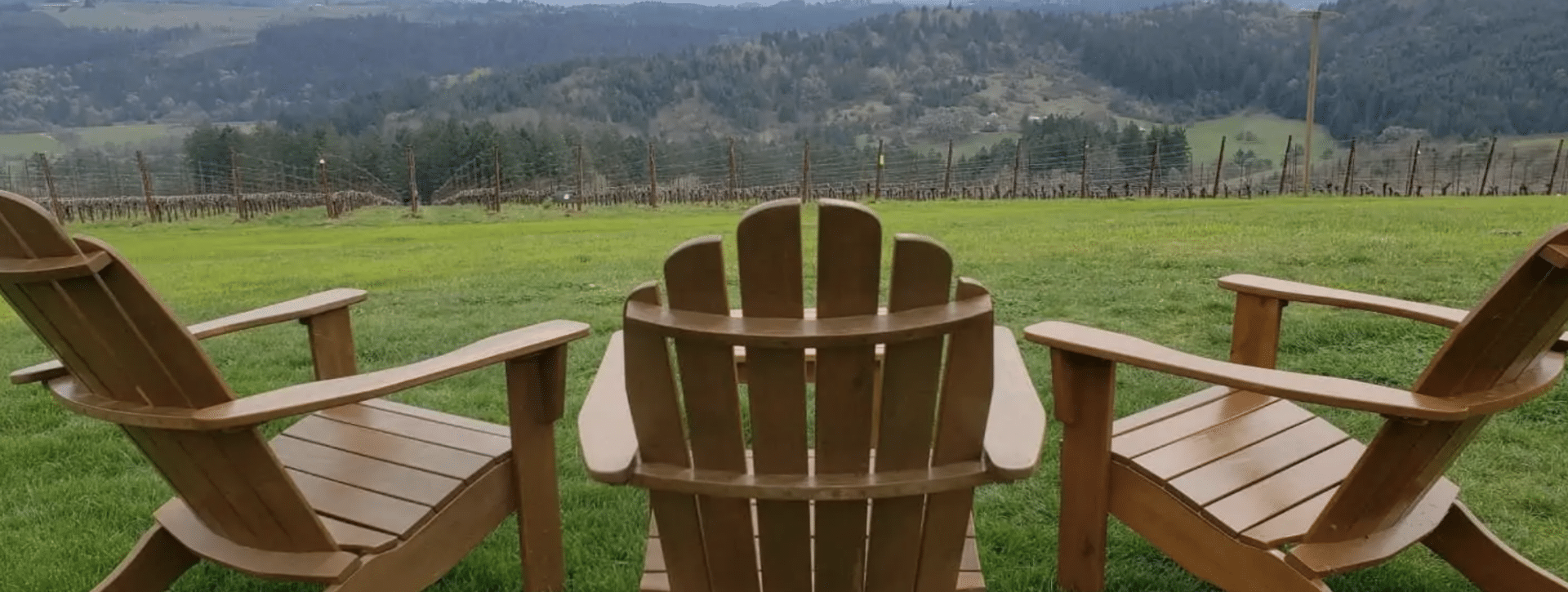two Adirondack chair overlooking a green Valley