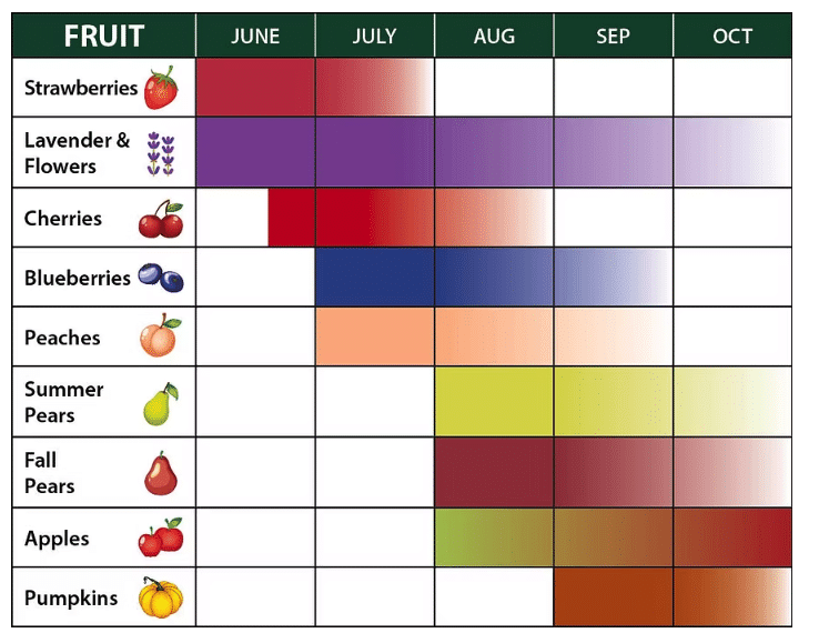 A chart of harvest times in the Hood River Valley