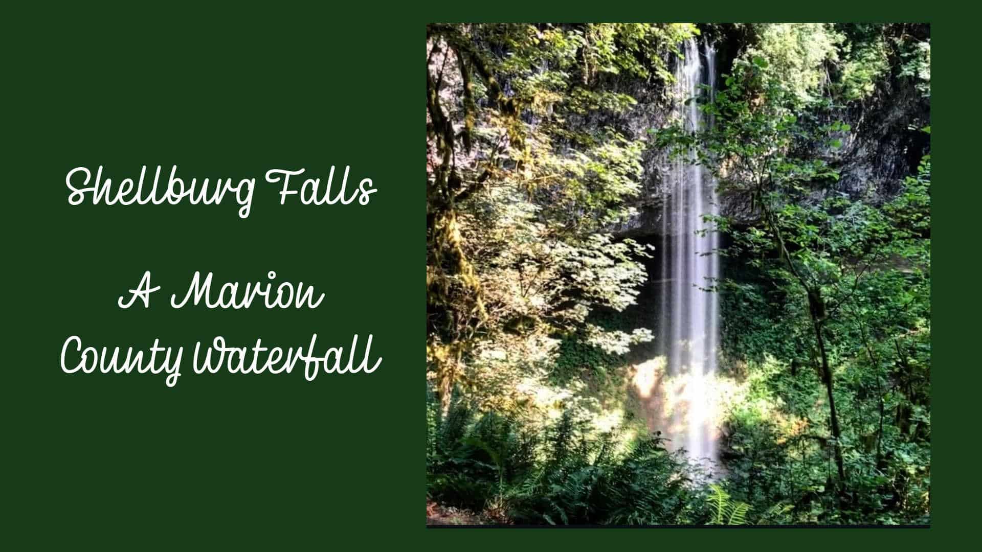 Shellberg Falls banner