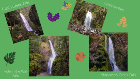 4 waterfalls on the Starvation Creek Falls Trrail