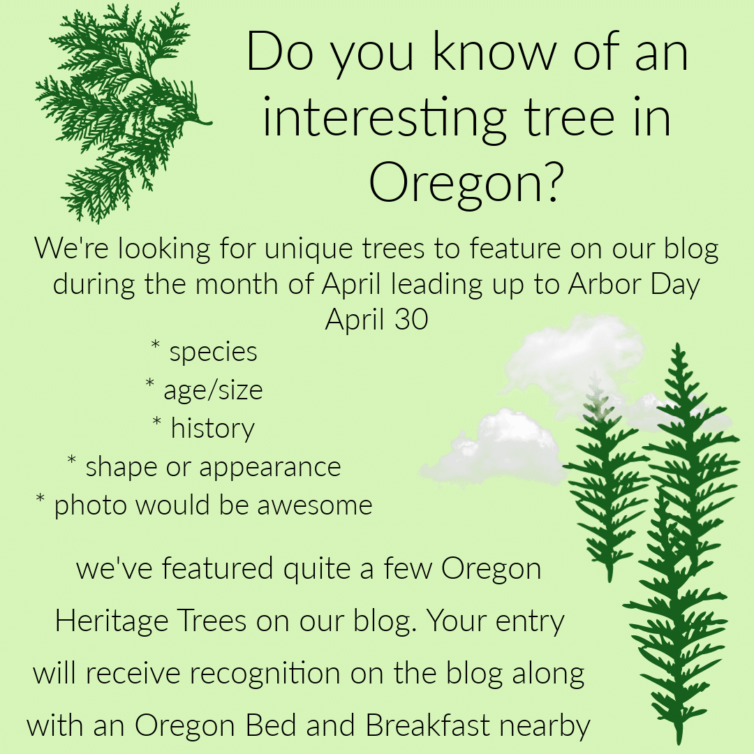 asking the question: Do you know of an interesting tree in Oregon?
