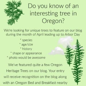 green poster asking for interesting trees in OR
