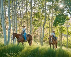 two folks on brown horses in the middle of a stunning aspen grove