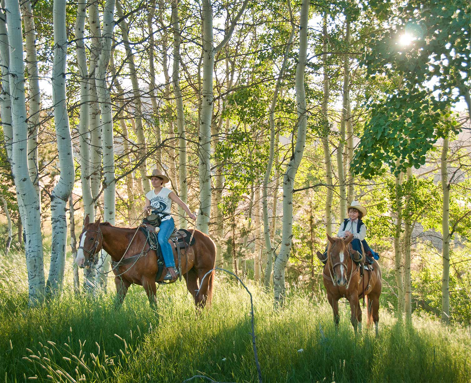 Two riders on brown horses in an aspen grove
