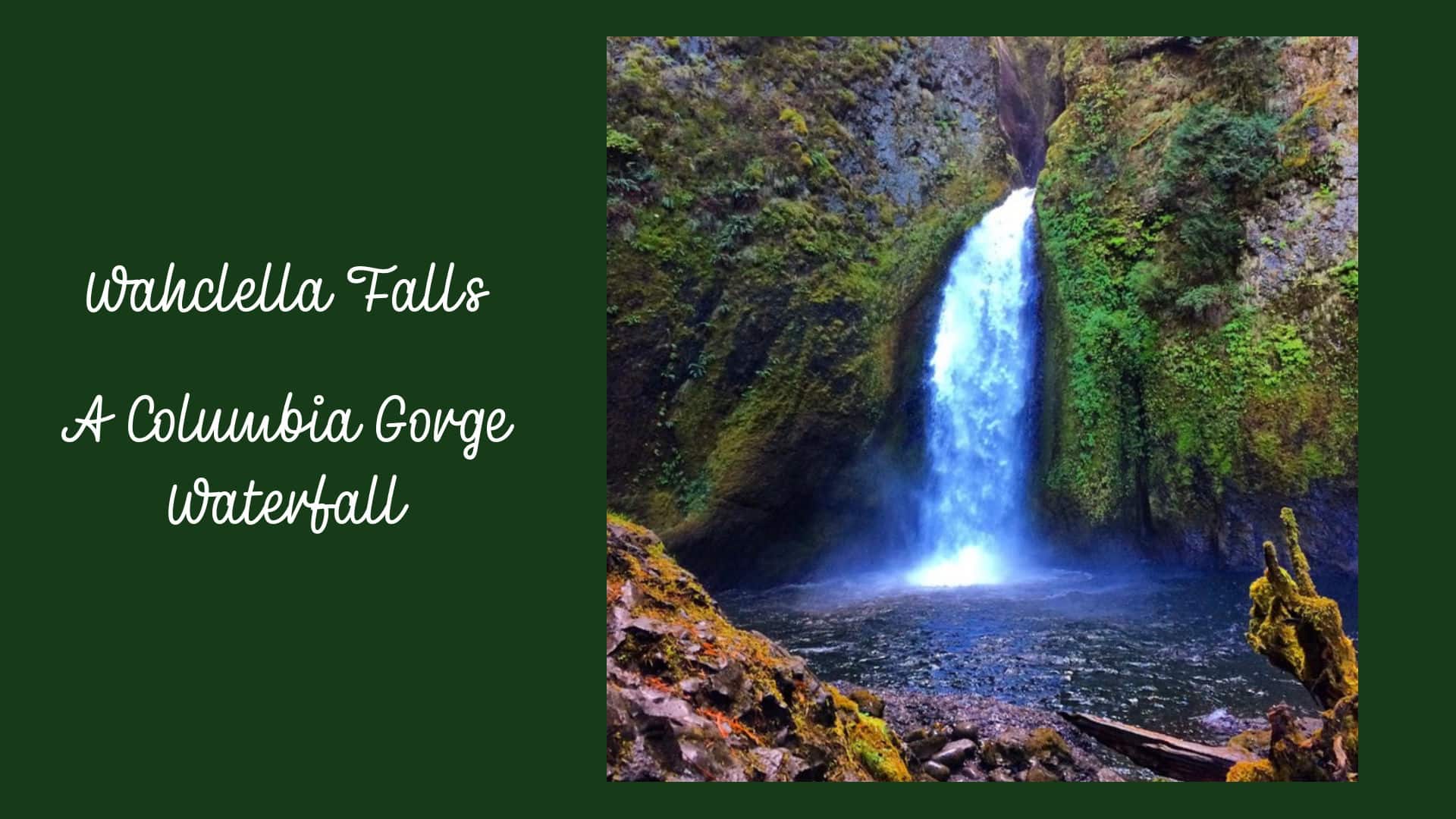 image of Wahclella Falls in the Columbia River Gorge