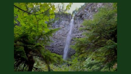 image of Watson Falls in a lush green forest on a green background